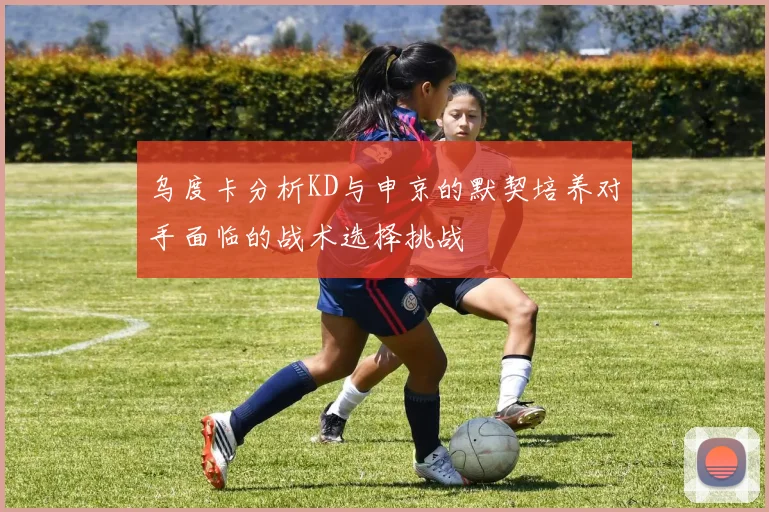 乌度卡分析KD与申京的默契培养对手面临的战术选择挑战
